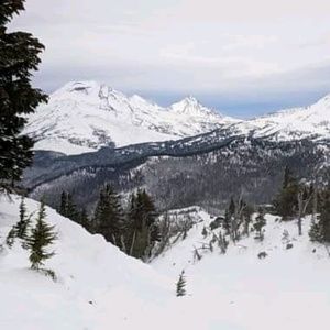 Meet your Posher, Alaina